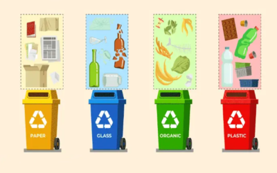 5 Ways of Waste Management: Effective Strategies for a Cleaner Environment