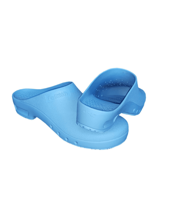 theatre clogs