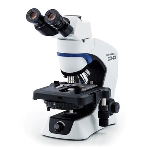 Types of Microscope: Complete Guide & Uses Explained