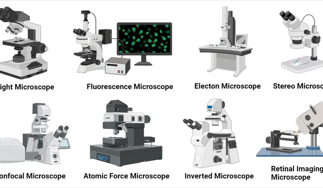 Types of Microscope: A Complete Guide to Choosing the Right One