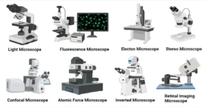 Types of Microscope