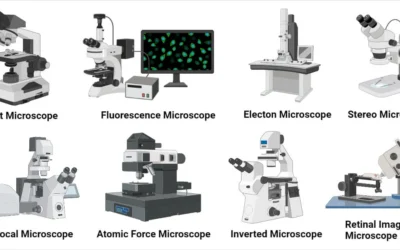 Types of Microscope: A Complete Guide to Choosing the Right One