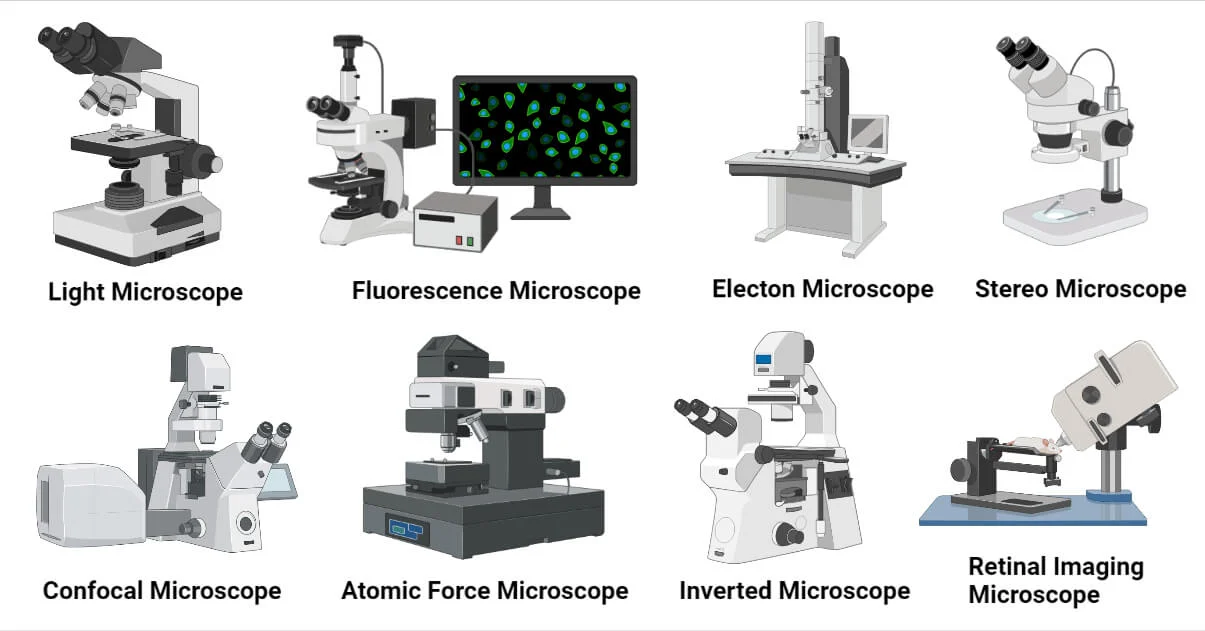 Types of Microscope