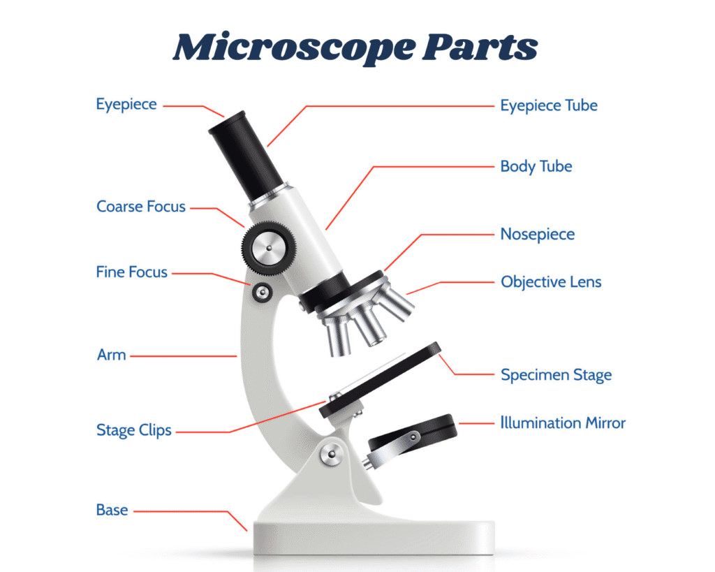 microscope parts