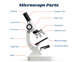 microscope parts